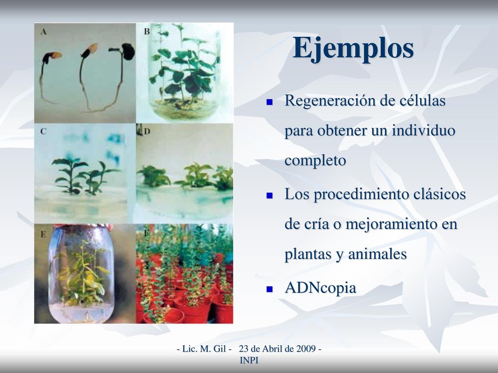 - Lic. M. Gil - 23 de Abril de INPI