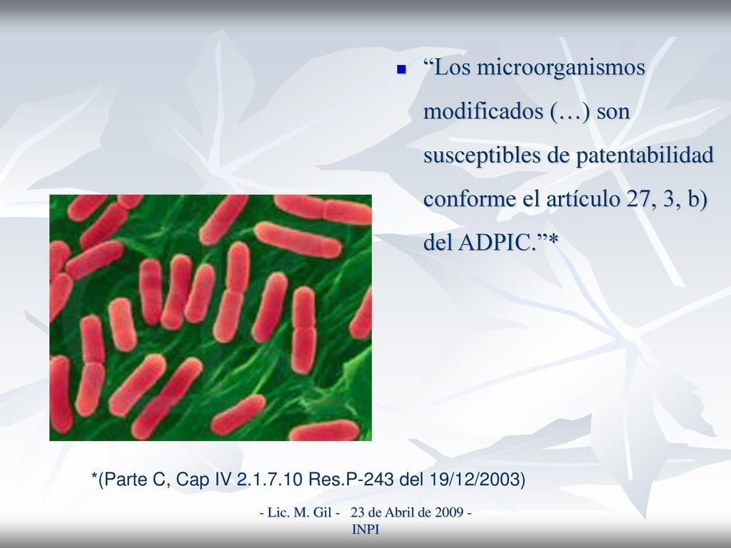 - Lic. M. Gil - 23 de Abril de INPI