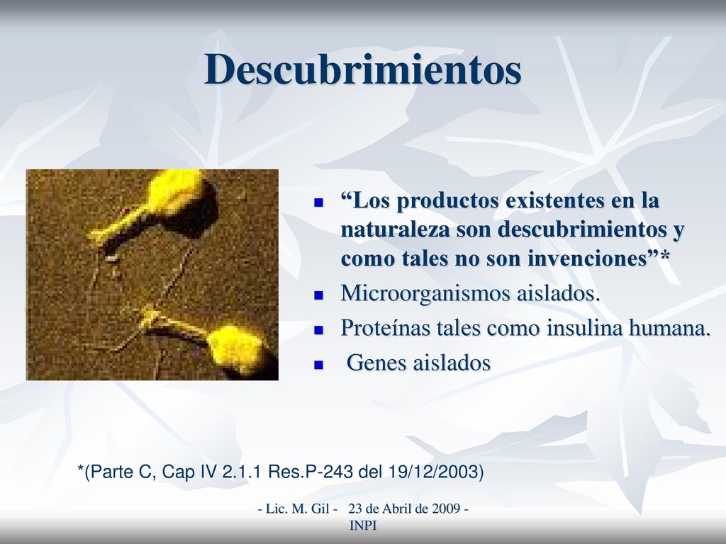 - Lic. M. Gil - 23 de Abril de INPI
