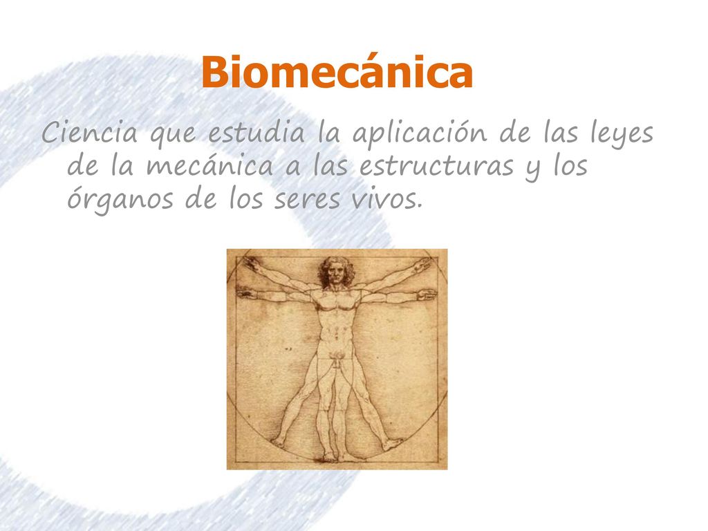 Biomecánica Ciencia que estudia la aplicación de las leyes de la mecánica a las estructuras y los órganos de los seres vivos.