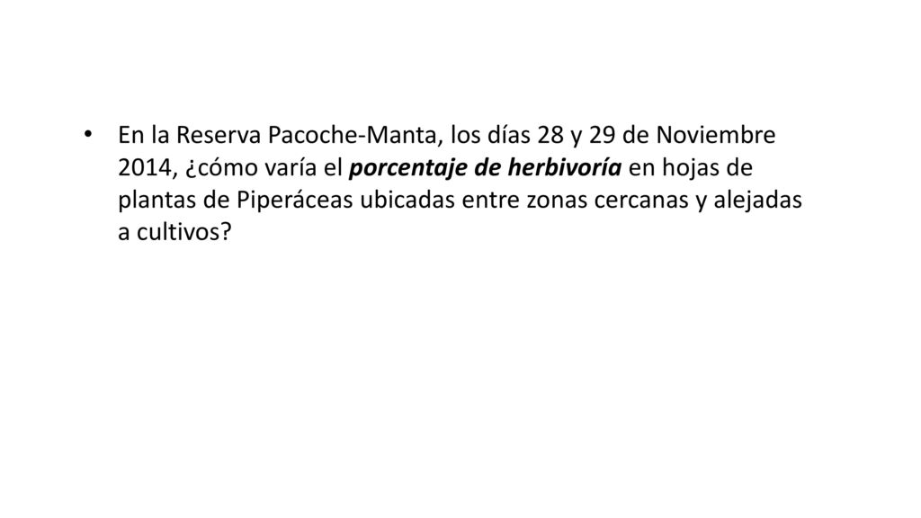En la Reserva Pacoche-Manta, los días 28 y 29 de Noviembre 2014, ¿cómo varía el porcentaje de herbivoría en hojas de plantas de Piperáceas ubicadas entre zonas cercanas y alejadas a cultivos