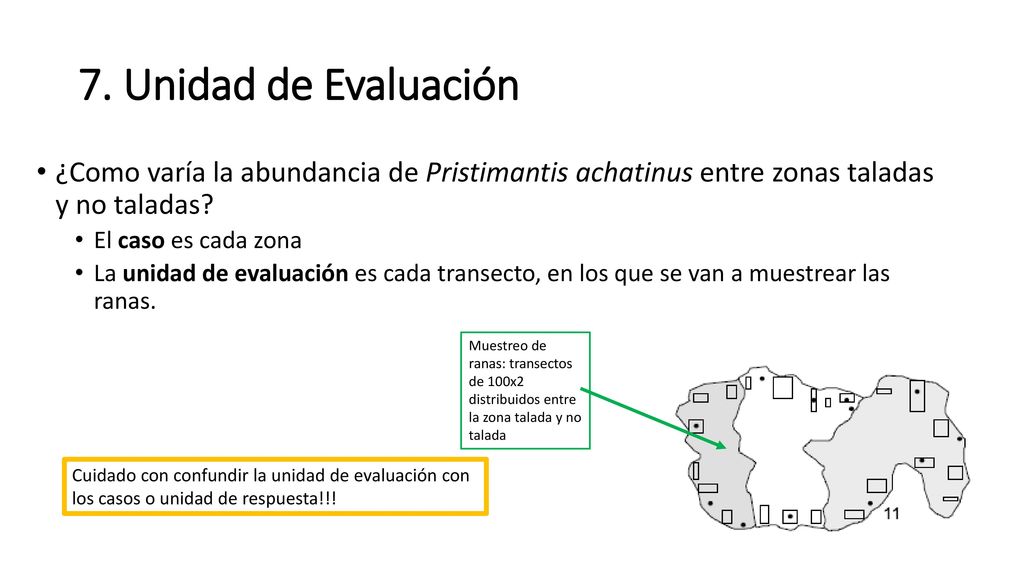 7. Unidad de Evaluación ¿Como varía la abundancia de Pristimantis achatinus entre zonas taladas y no taladas
