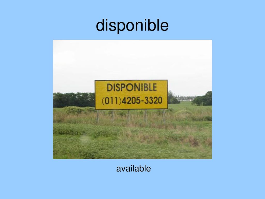 disponible available