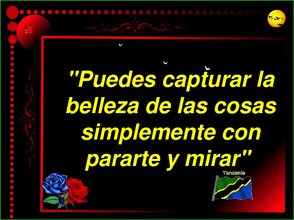 Puedes capturar la belleza de las cosas simplemente con pararte y mirar