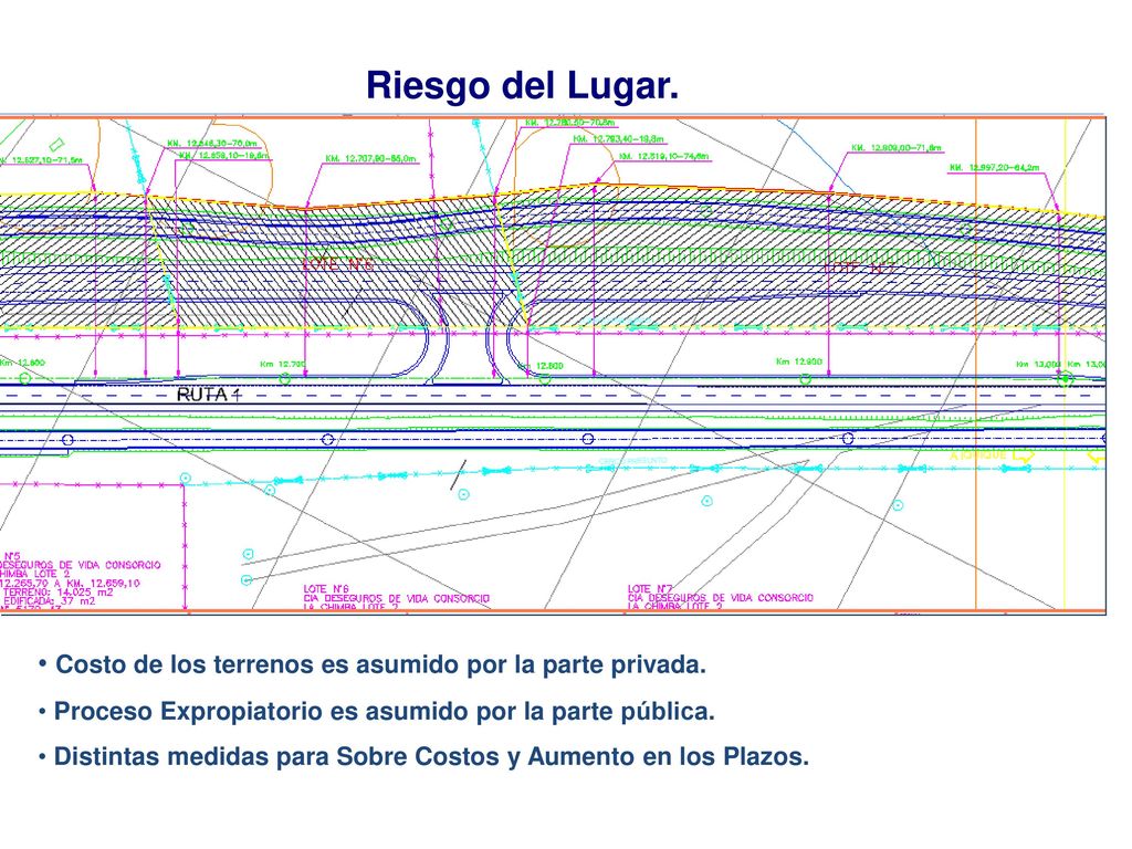 Riesgo del Lugar. Costo de los terrenos es asumido por la parte privada. Proceso Expropiatorio es asumido por la parte pública.