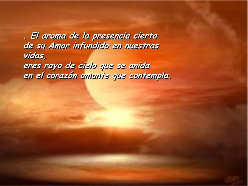 . El aroma de la presencia cierta de su Amor infundido en nuestras vidas, eres rayo de cielo que se anida en el corazón amante que contempla.