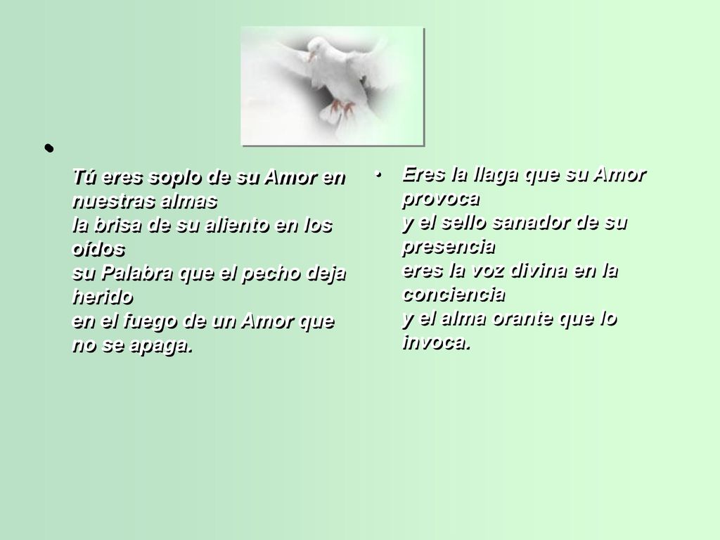 Tú eres soplo de su Amor en nuestras almas la brisa de su aliento en los oídos su Palabra que el pecho deja herido en el fuego de un Amor que no se apaga.
