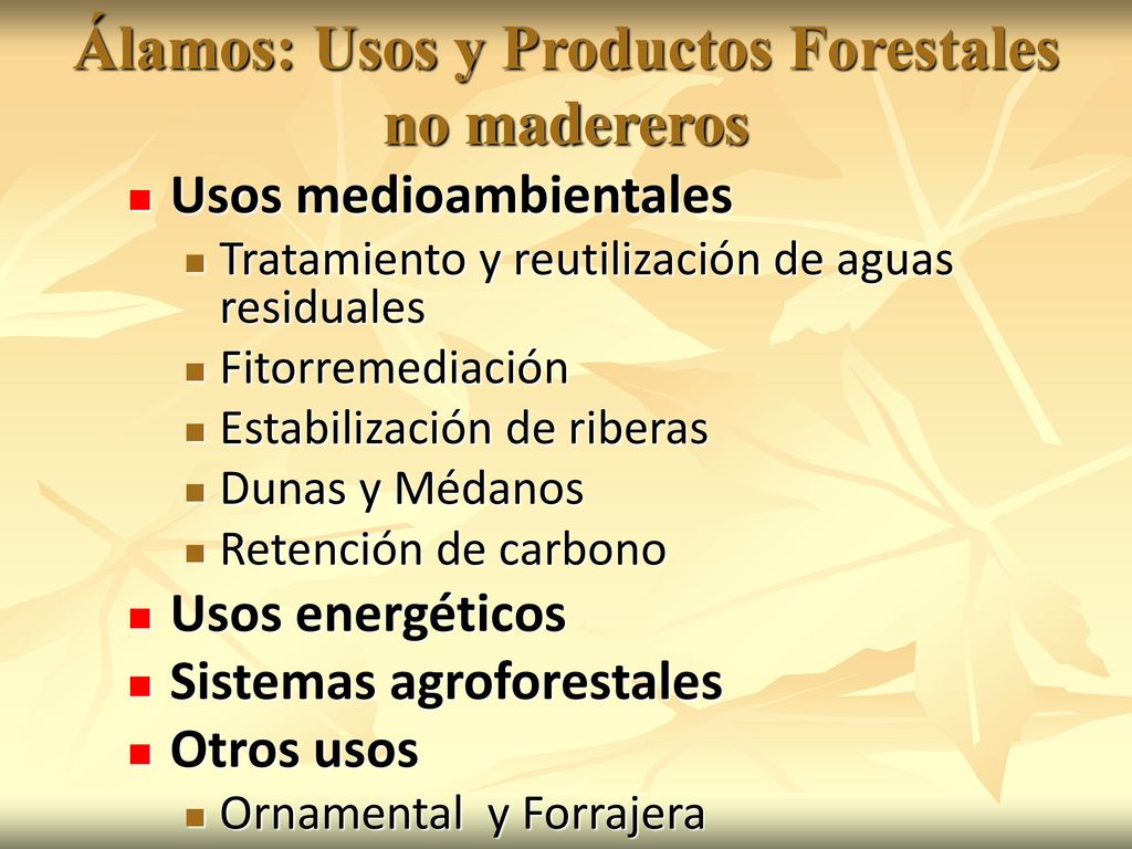 Álamos: Usos y Productos Forestales no madereros