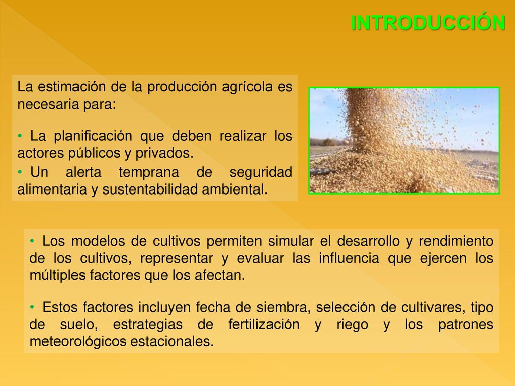 INTRODUCCIÓN La estimación de la producción agrícola es necesaria para: La planificación que deben realizar los actores públicos y privados.