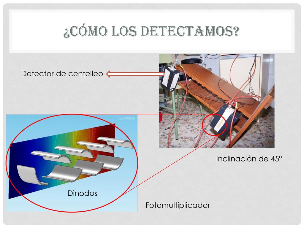 ¿CÓMO LOS DETECTAMOS Detector de centelleo Inclinación de 45º Dinodos