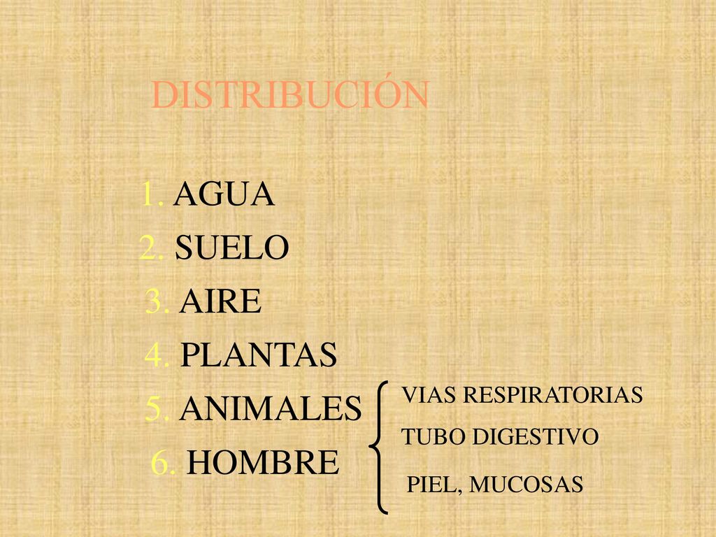 DISTRIBUCIÓN 1. AGUA 2. SUELO 3. AIRE 4. PLANTAS 5. ANIMALES 6. HOMBRE