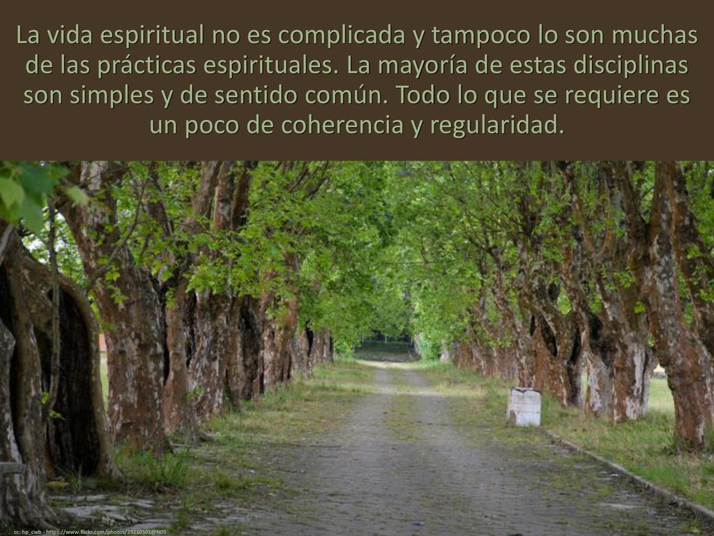 La vida espiritual no es complicada y tampoco lo son muchas de las prácticas espirituales. La mayoría de estas disciplinas son simples y de sentido común. Todo lo que se requiere es un poco de coherencia y regularidad.
