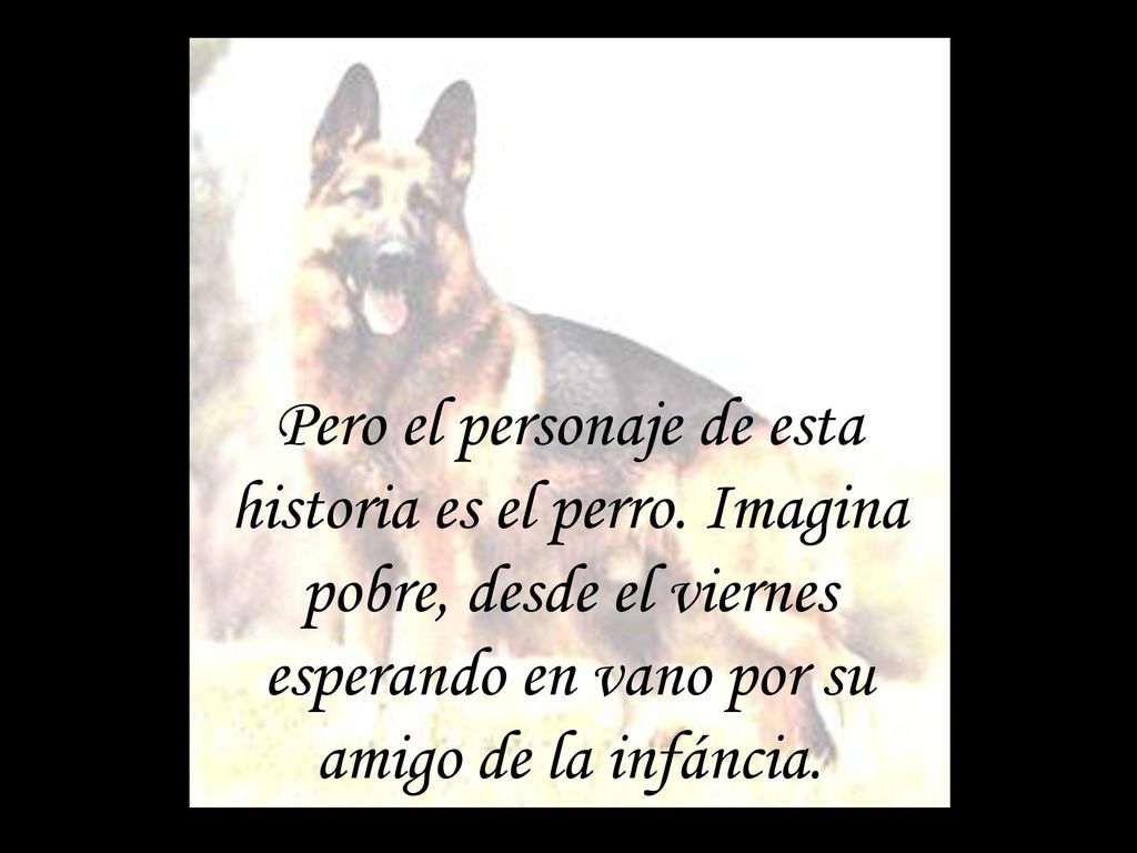 Pero el personaje de esta historia es el perro