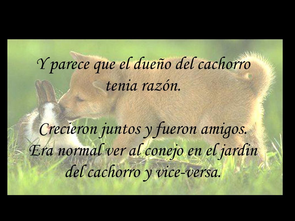 Y parece que el dueño del cachorro tenia razón