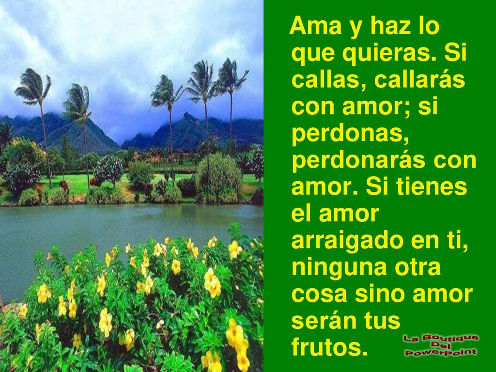 Ama y haz lo que quieras. Si callas, callarás con amor; si perdonas, perdonarás con amor.