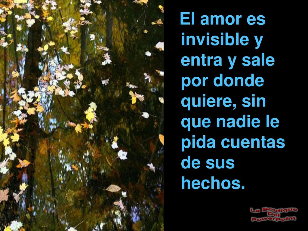 El amor es invisible y entra y sale por donde quiere, sin que nadie le pida cuentas de sus hechos.