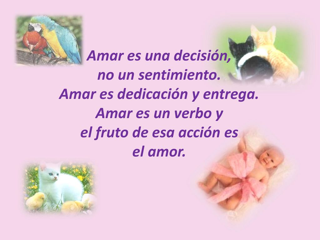 Amar es una decisión, no un sentimiento. Amar es dedicación y entrega