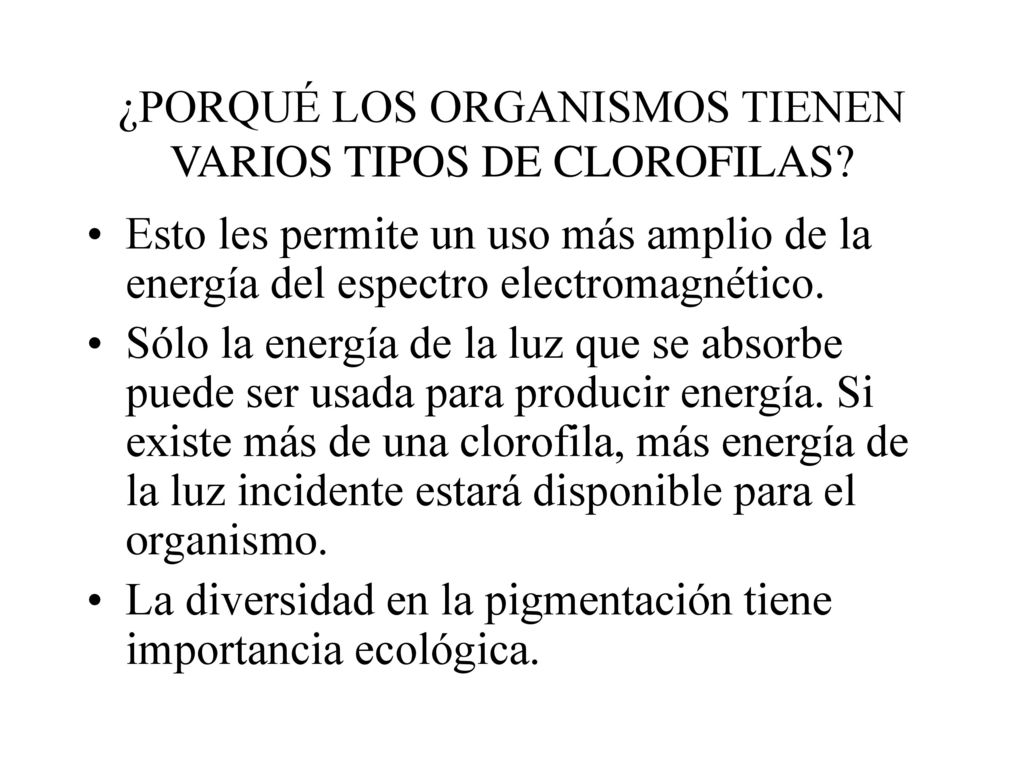 ¿PORQUÉ LOS ORGANISMOS TIENEN VARIOS TIPOS DE CLOROFILAS