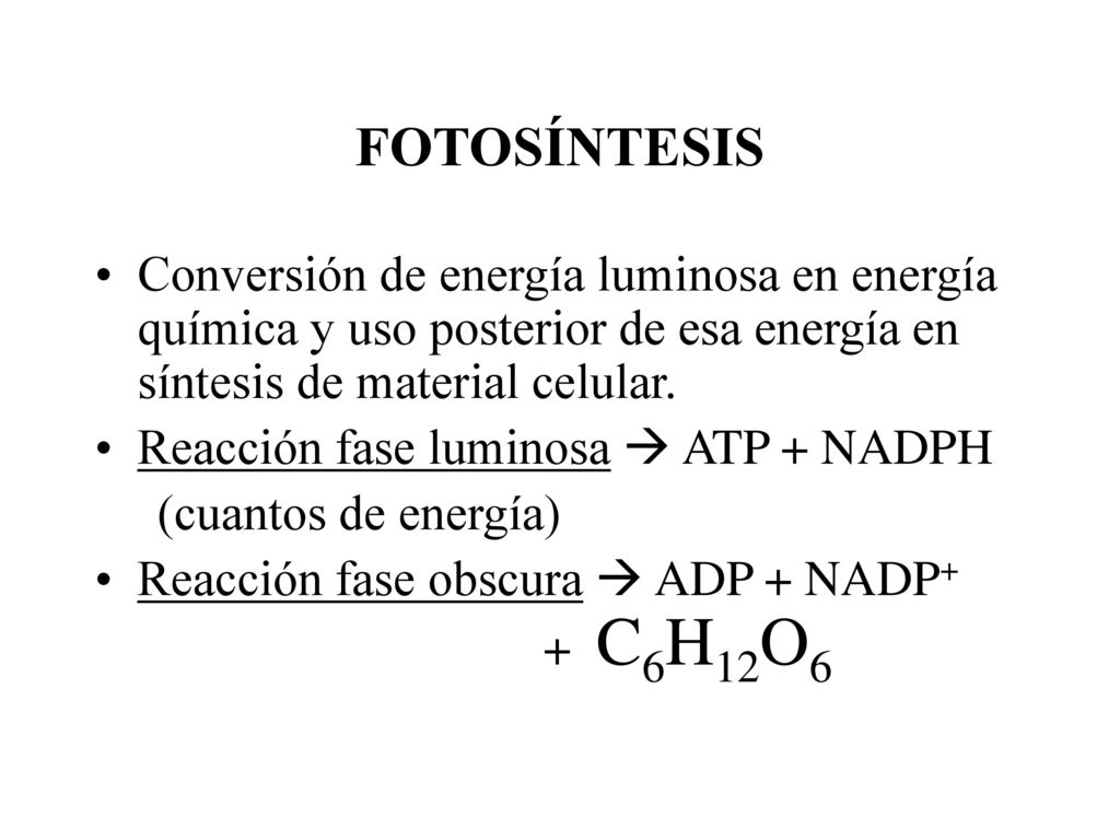 FOTOSÍNTESIS Conversión de energía luminosa en energía química y uso posterior de esa energía en síntesis de material celular.