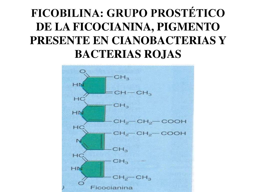 FICOBILINA: GRUPO PROSTÉTICO DE LA FICOCIANINA, PIGMENTO PRESENTE EN CIANOBACTERIAS Y BACTERIAS ROJAS
