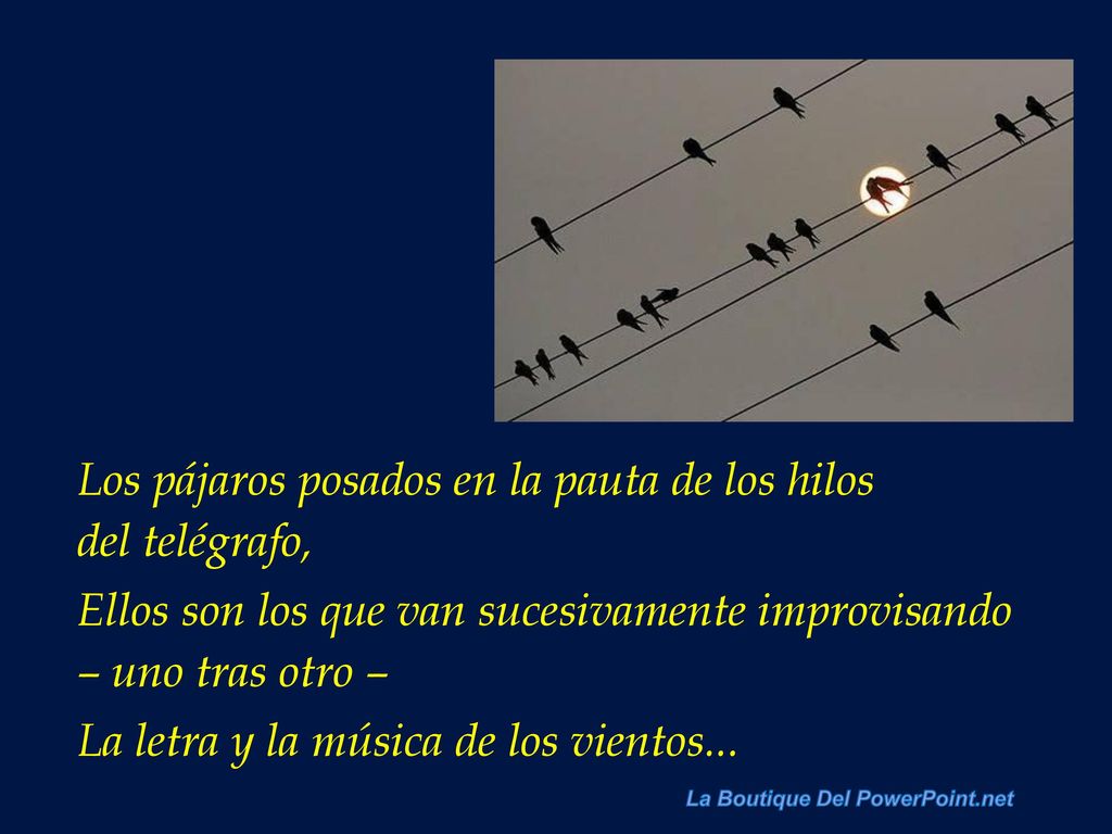 Los pájaros posados en la pauta de los hilos del telégrafo,
