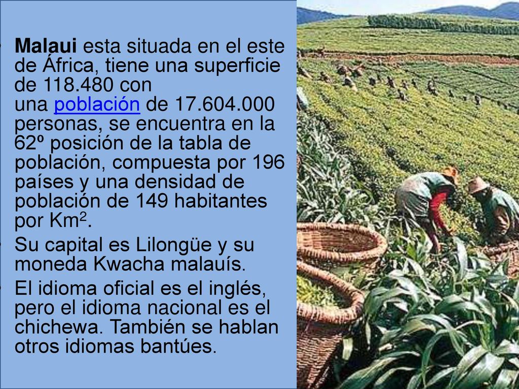 Malaui esta situada en el este de África, tiene una superficie de 118
