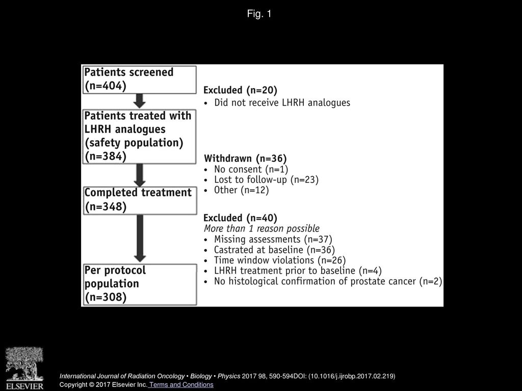 Fig. 1 Study flowchart. Abbreviation: LHRH = luteinizing hormone-releasing hormone.