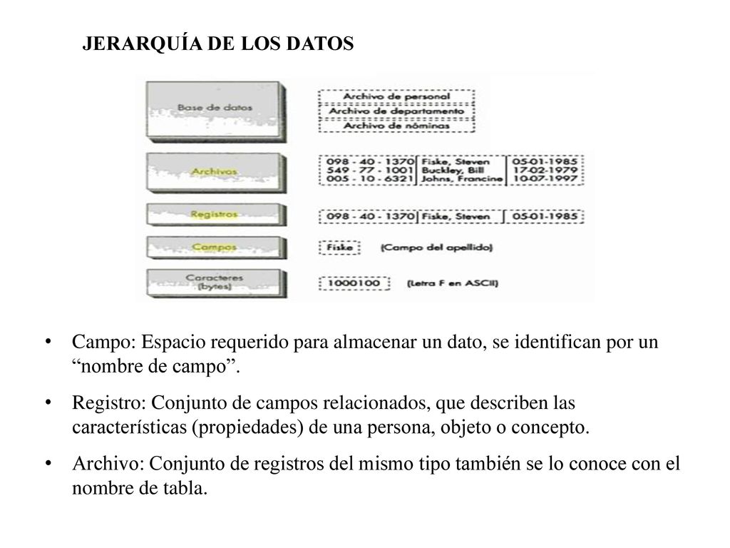 JERARQUÍA DE LOS DATOS Campo: Espacio requerido para almacenar un dato, se identifican por un nombre de campo .