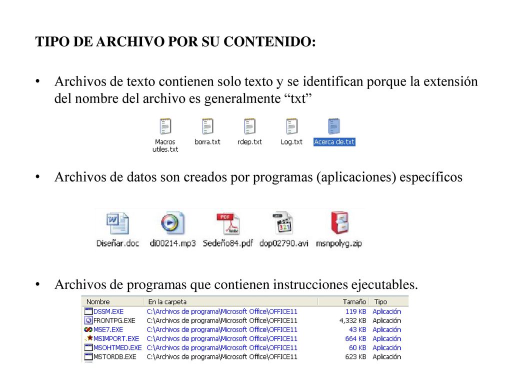 TIPO DE ARCHIVO POR SU CONTENIDO: