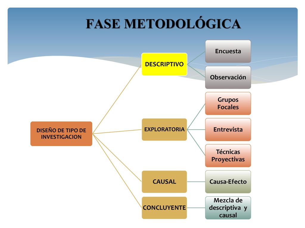 DISEÑO DE TIPO DE INVESTIGACION Mezcla de descriptiva y causal
