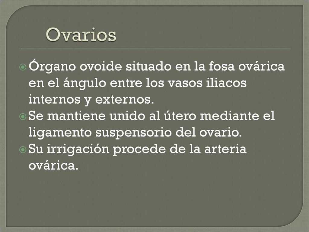 Ovarios Órgano ovoide situado en la fosa ovárica en el ángulo entre los vasos iliacos internos y externos.