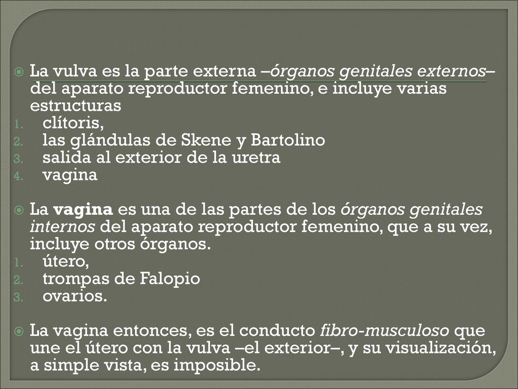 La vulva es la parte externa –órganos genitales externos– del aparato reproductor femenino, e incluye varias estructuras