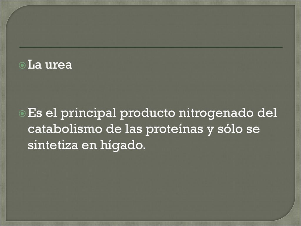 La urea Es el principal producto nitrogenado del catabolismo de las proteínas y sólo se sintetiza en hígado.