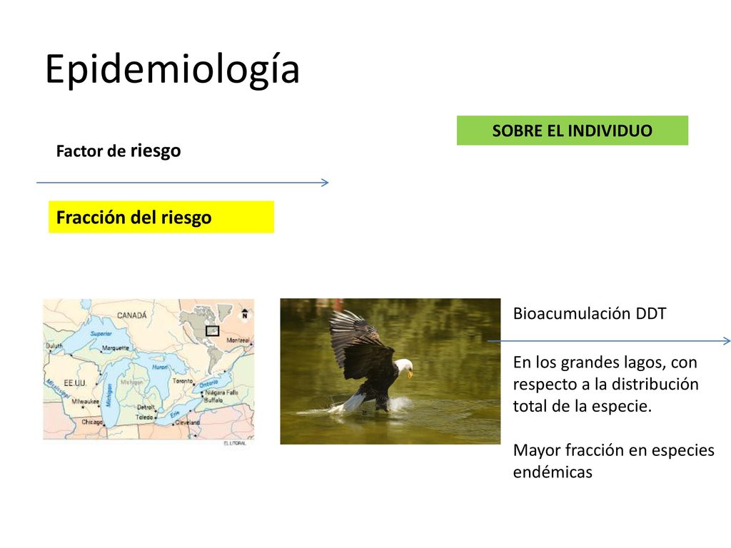 Epidemiología Fracción del riesgo SOBRE EL INDIVIDUO Factor de riesgo
