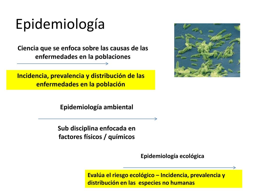 Epidemiología Ciencia que se enfoca sobre las causas de las enfermedades en la poblaciones.
