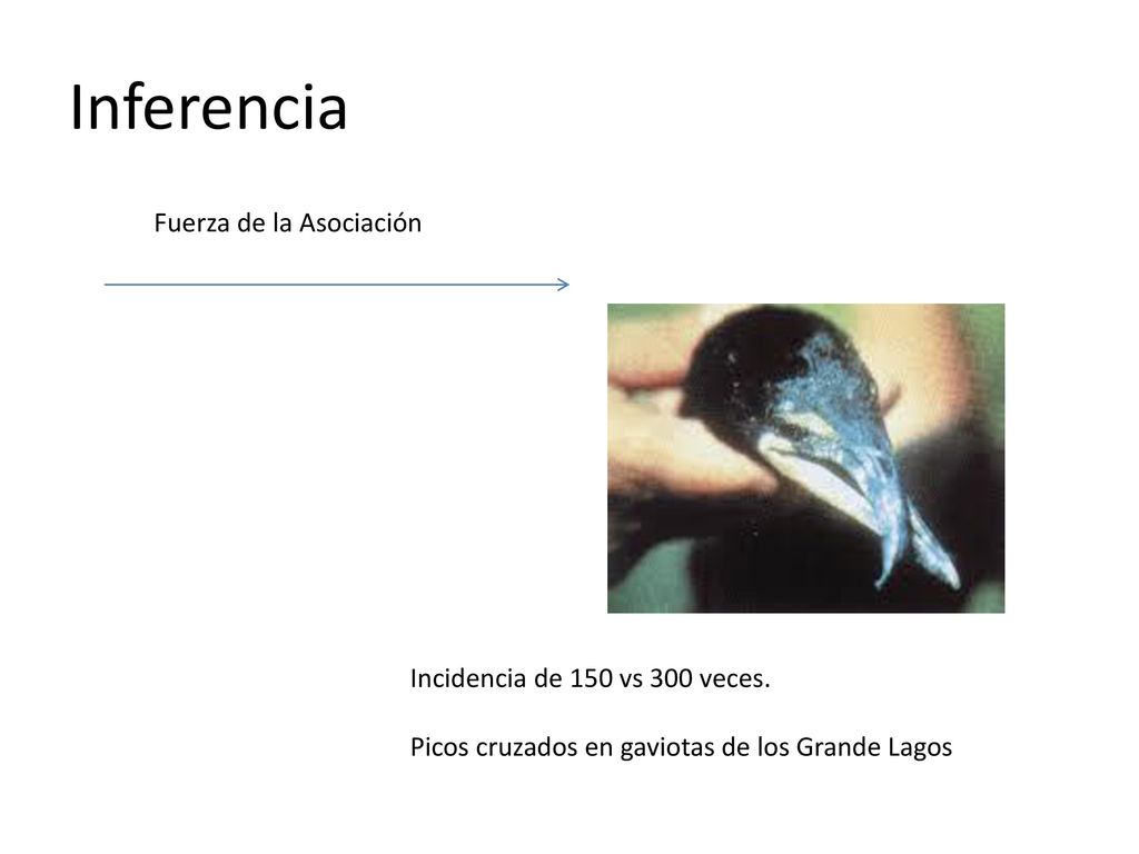 Inferencia Fuerza de la Asociación Incidencia de 150 vs 300 veces.