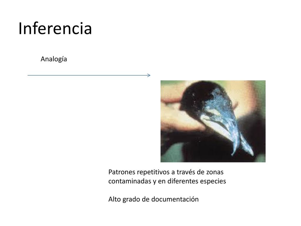 Inferencia Analogía. Patrones repetitivos a través de zonas contaminadas y en diferentes especies.