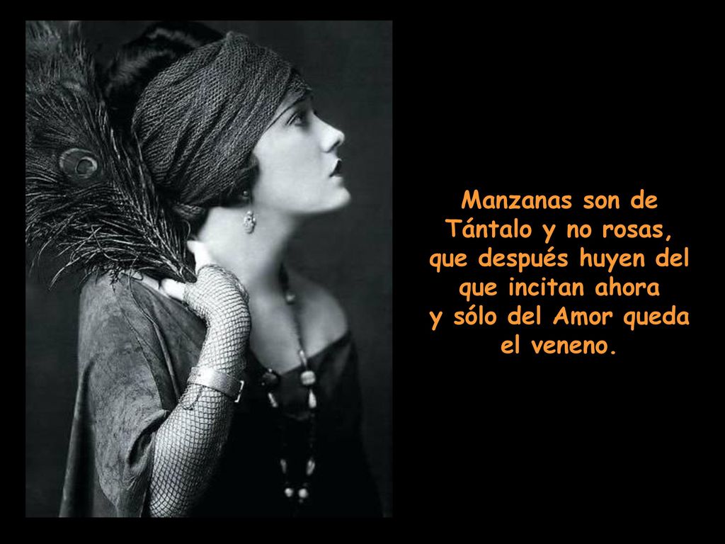 Manzanas son de Tántalo y no rosas, que después huyen del que incitan ahora y sólo del Amor queda el veneno.