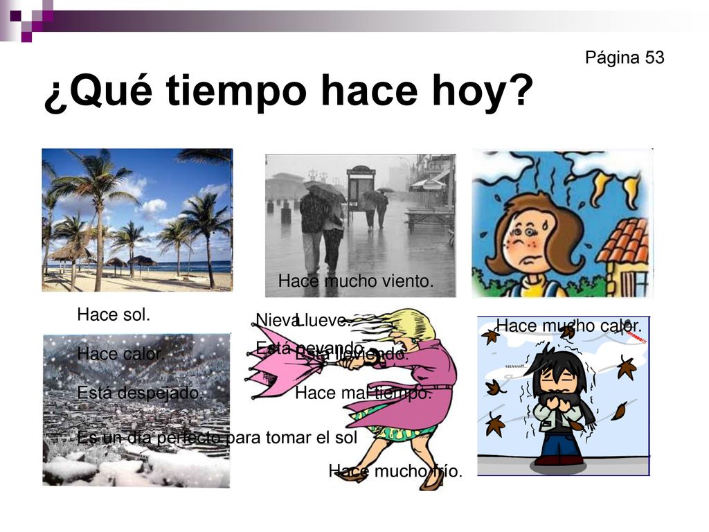 ¿Qué tiempo hace hoy Página 53 Hace mucho viento. Hace sol. Nieva.