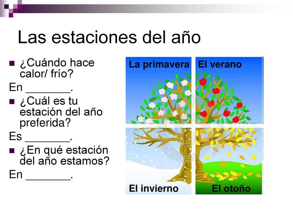 Las estaciones del año ¿Cuándo hace calor/ frío En _______.
