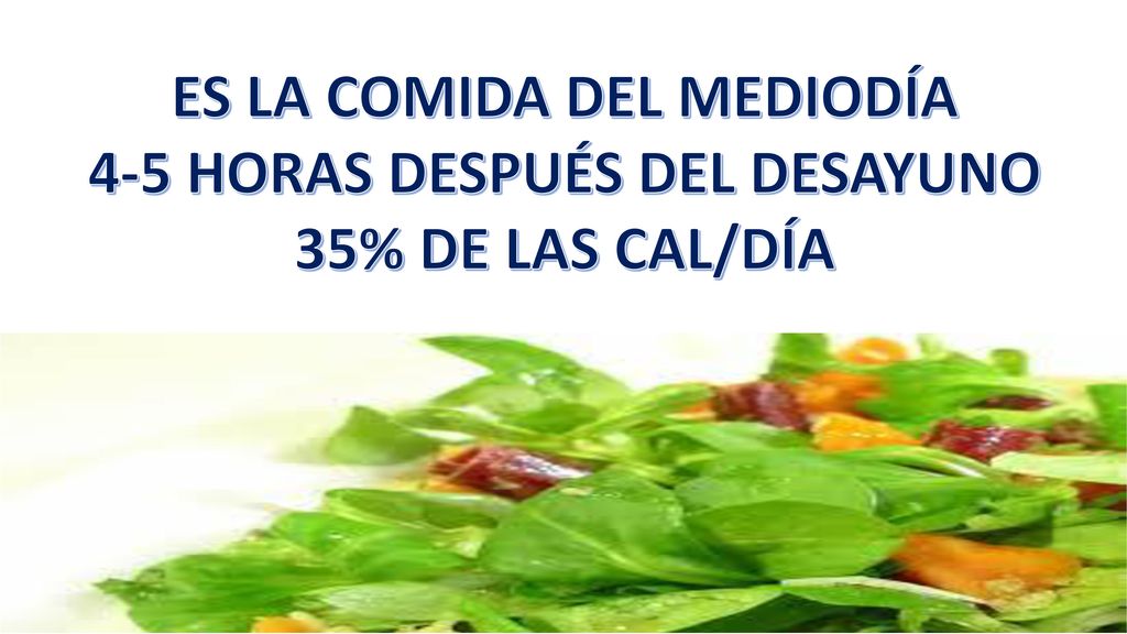 ES LA COMIDA DEL MEDIODÍA 4-5 HORAS DESPUÉS DEL DESAYUNO