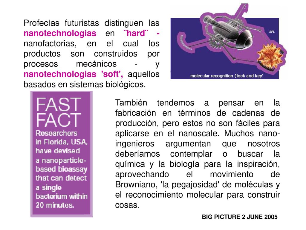 Profecías futuristas distinguen las nanotechnologias en ¨hard¨ - nanofactorias, en el cual los productos son construidos por procesos mecánicos - y nanotechnologias soft , aquellos basados en sistemas biológicos.