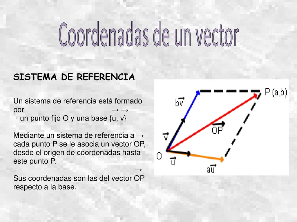 SISTEMA DE REFERENCIA Un sistema de referencia está formado por → →