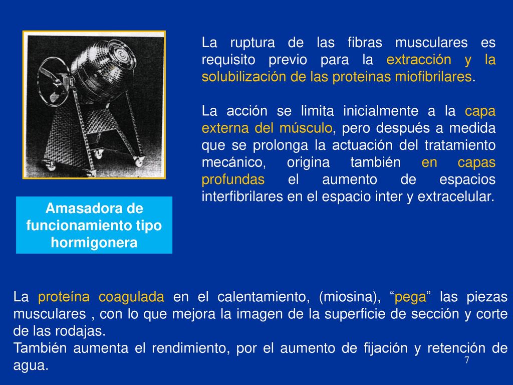 Amasadora de funcionamiento tipo hormigonera