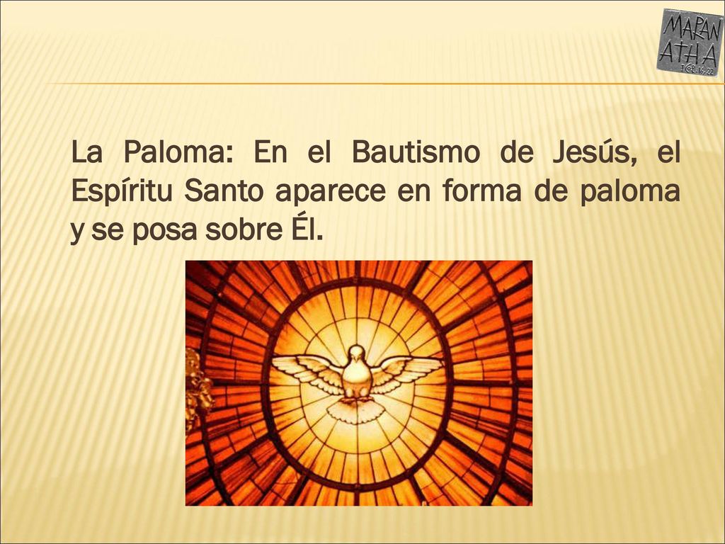 La Paloma: En el Bautismo de Jesús, el Espíritu Santo aparece en forma de paloma y se posa sobre Él.
