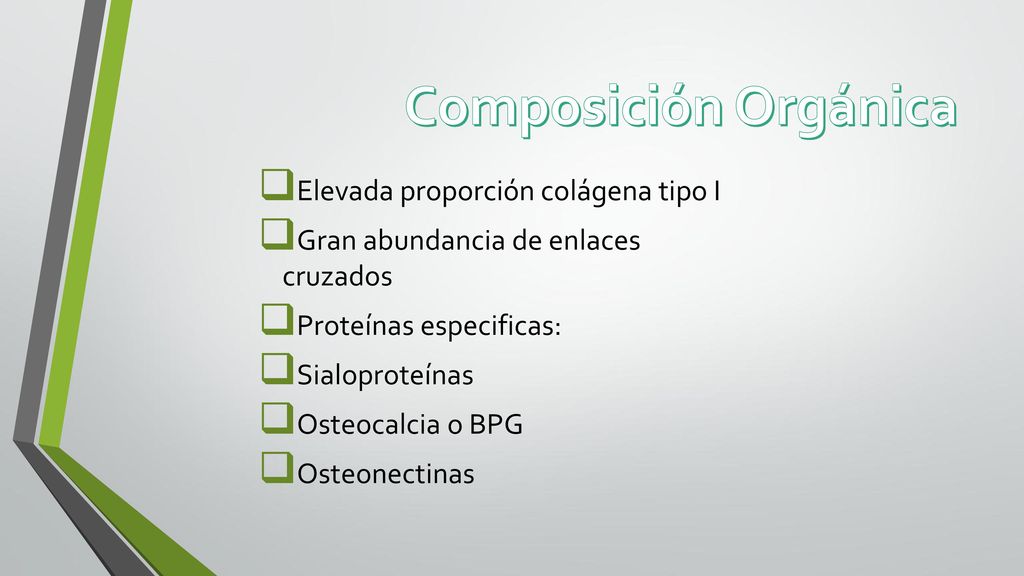 Composición Orgánica Elevada proporción colágena tipo I