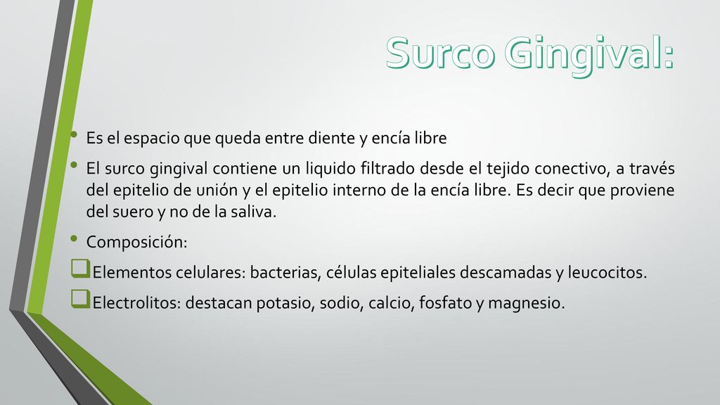 Surco Gingival: Es el espacio que queda entre diente y encía libre