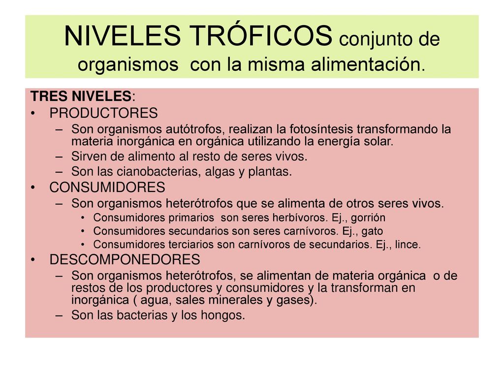 NIVELES TRÓFICOS conjunto de organismos con la misma alimentación.