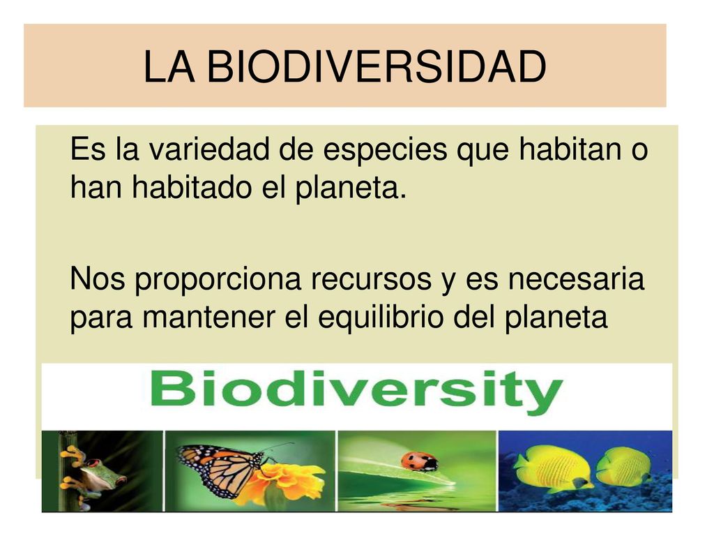 LA BIODIVERSIDAD Es la variedad de especies que habitan o han habitado el planeta.