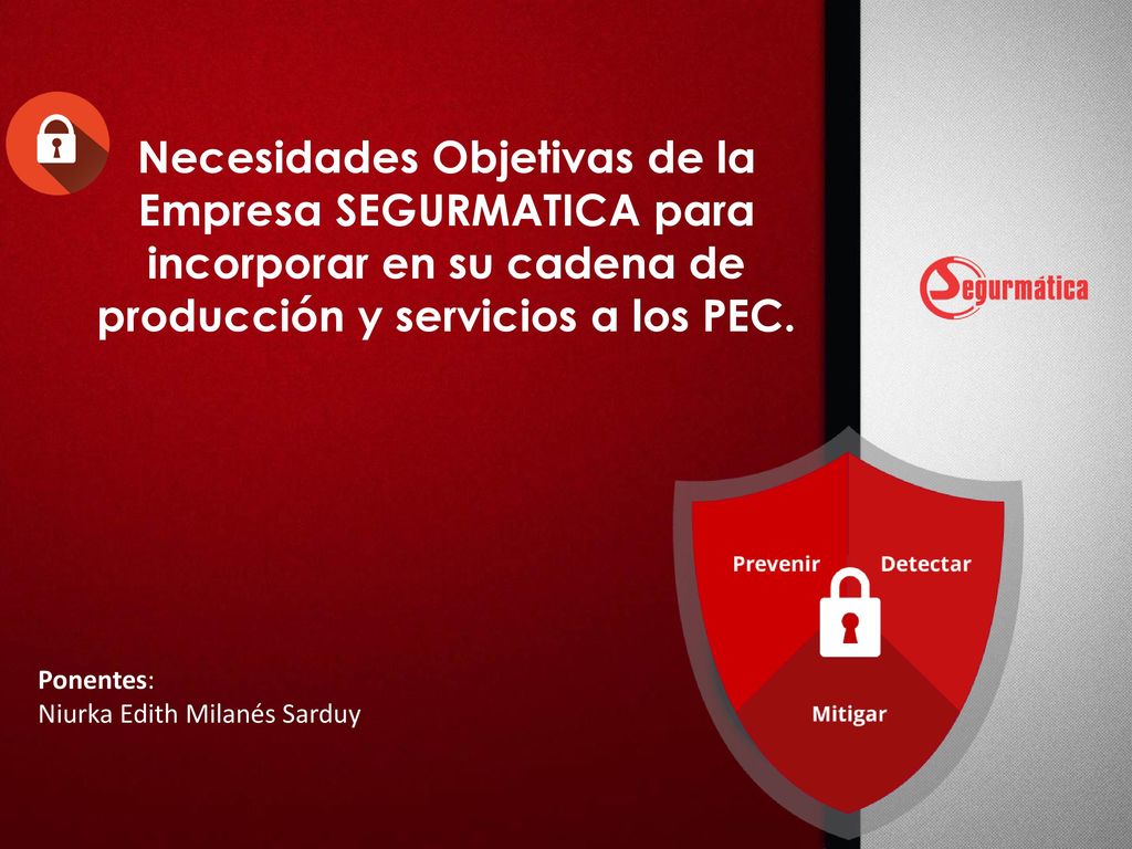 Necesidades Objetivas de la Empresa SEGURMATICA para incorporar en su cadena de producción y servicios a los PEC.
